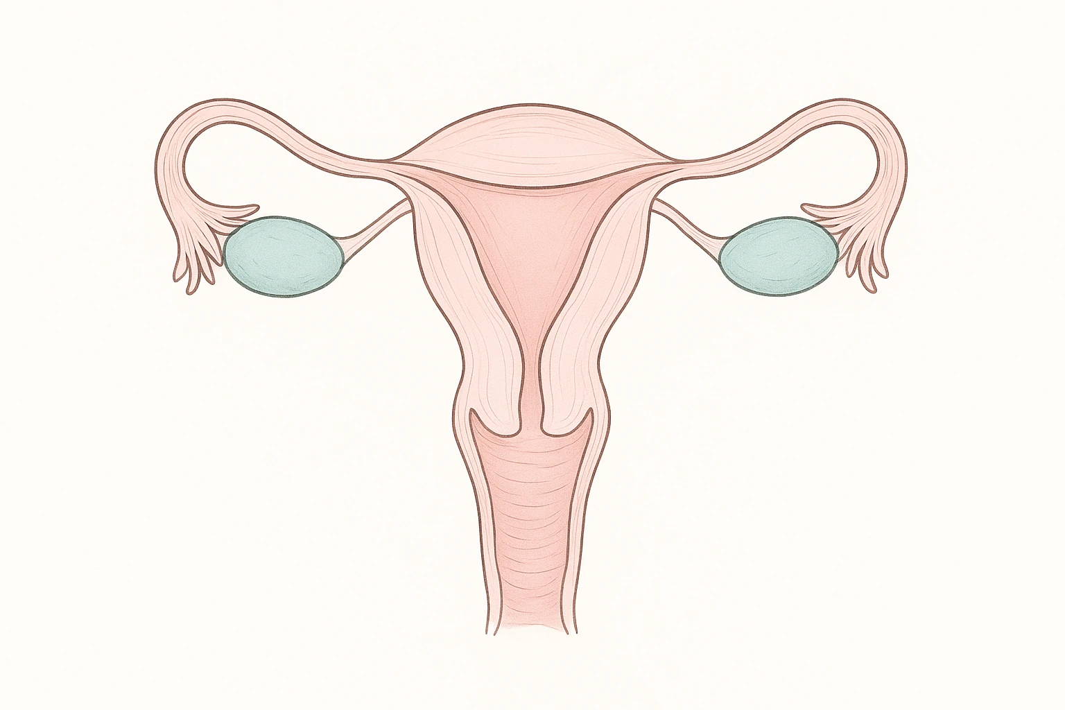 What Is PCOS? Signs, Symptoms, and Diagnosis Explained
